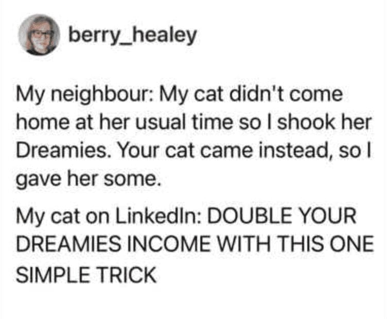 A sharp-witted pet meme tweet from berry_healey. After her neighbor accidentally feeds her cat while trying to lure home their own, the user imagines her cat posting on LinkedIn: "DOUBLE YOUR DREAMIES INCOME WITH THIS ONE SIMPLE TRICK."