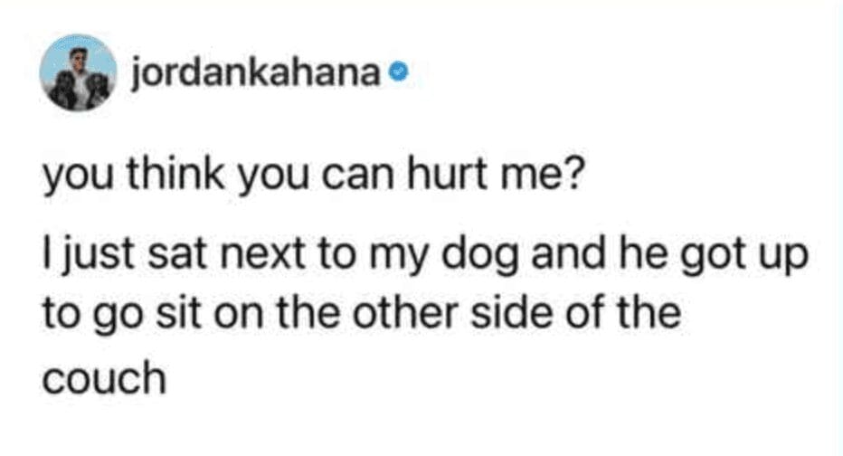 A heartbreakingly funny tweet about pets from jordankahana. It challenges anyone to "try and hurt me" after the user experienced the ultimate emotional blow: sitting next to their dog only for the dog to get up and move to the other side of the couch.