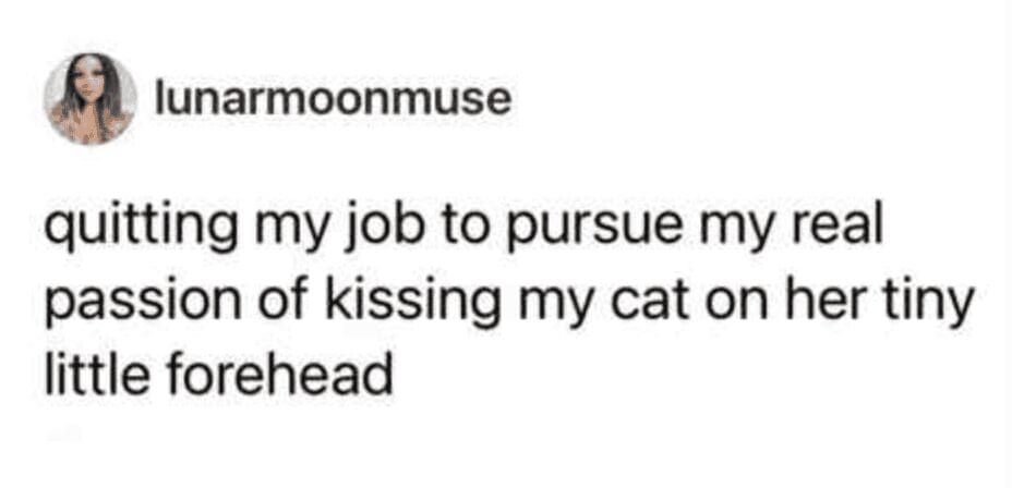 An extreme-devotion pet meme tweet from lunarmoonmuse. The text reads: "quitting my job to pursue my real passion of kissing my cat on her tiny little forehead," capturing the "anti-work, pro-cat" energy of 2026.