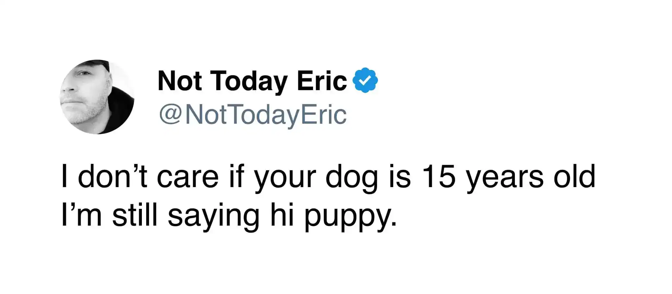 A heartwarming and funny tweet about pets from Not Today Eric stating the universal truth of dog ownership: it doesn't matter if a dog is 15 years old, they are still getting greeted with a "hi puppy."