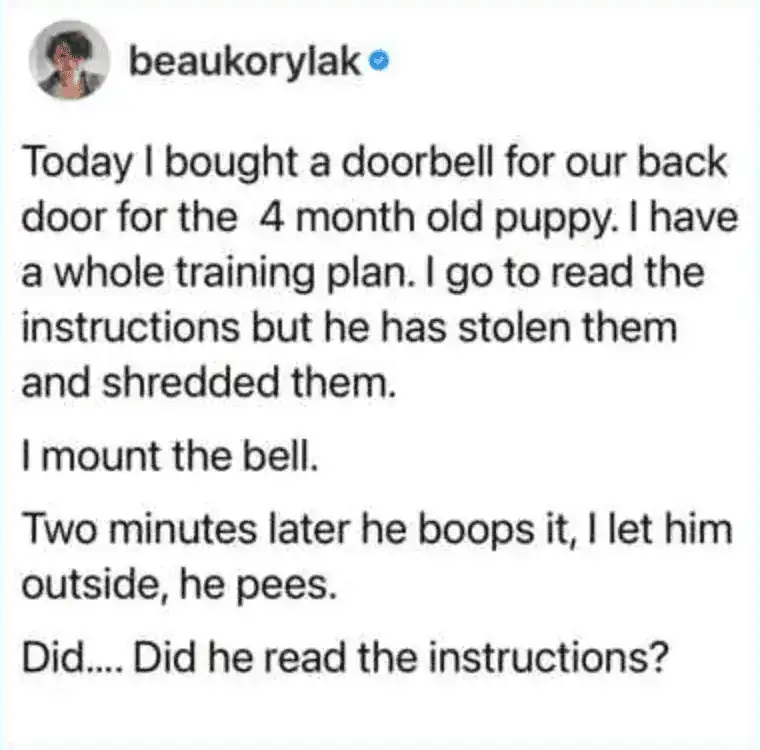 This funny tweet about pets by beaukorylak tells the story of a 4-month-old puppy who shredded the training instructions for a new pet doorbell, only to use it perfectly two minutes later to go outside.