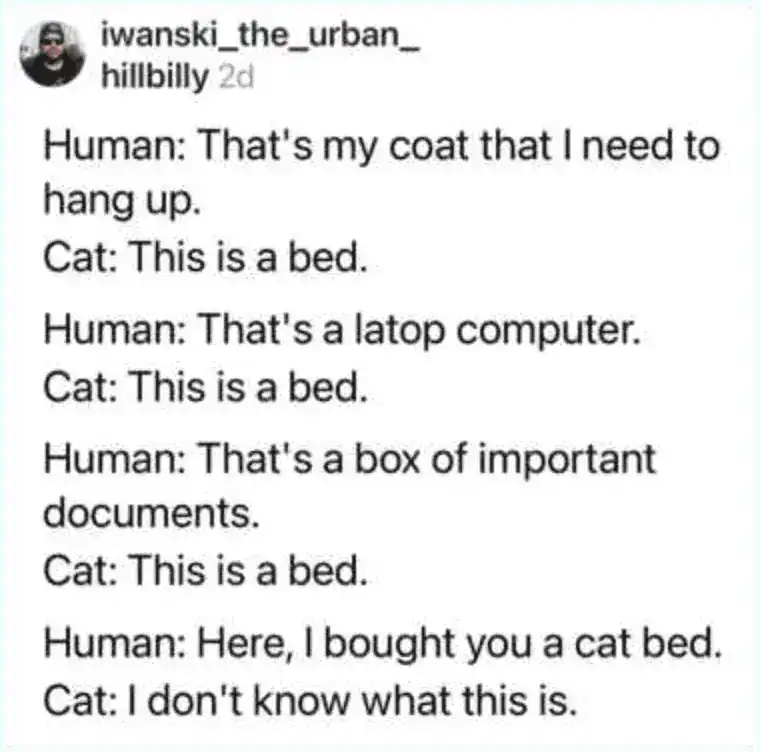 classic pet meme script showing a dialogue between a human and a cat. The cat correctly identifies a coat, a laptop, and a box of important documents as "beds," but looks at an actual cat bed and claims to have no idea what it is.