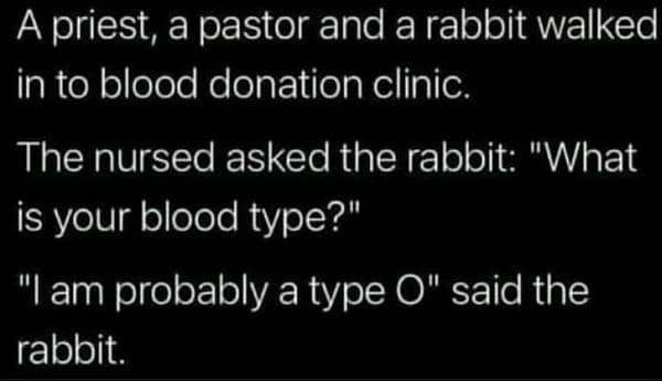 Text joke about rabbit at blood donation clinic saying probably type O as in typo pun