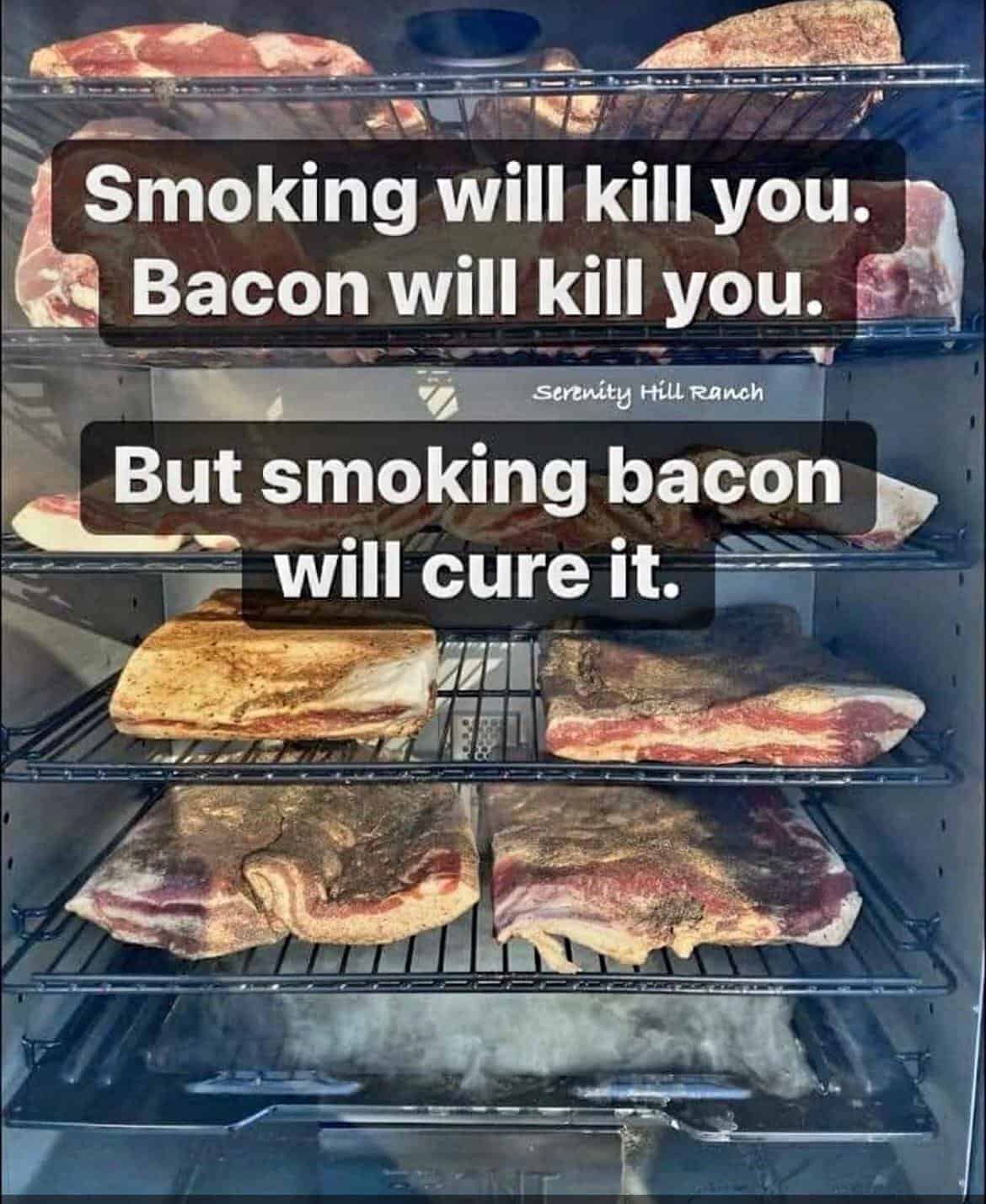 Smoked bacon in a smoker with text saying smoking bacon will cure it playing on smoking and curing double meaning