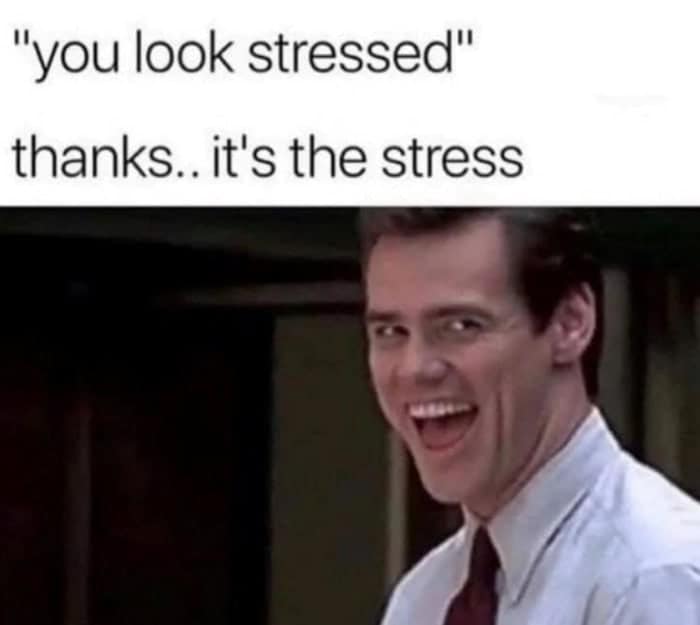 manic funny work meme featuring a wide-eyed, grinning Jim Carrey. The text interaction reads, "'you look stressed' / thanks.. it's the stress," capturing the circular, unhinged logic of someone deep in a project deadline.