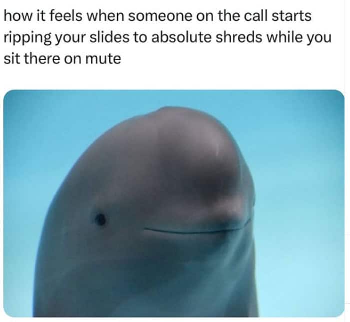relatable funny work meme showing a finless porpoise with a flat, tiny "smile" that looks like a suppressed expression. The caption describes the feeling of sitting on mute during a virtual meeting while a colleague rips your presentation slides to absolute shreds.