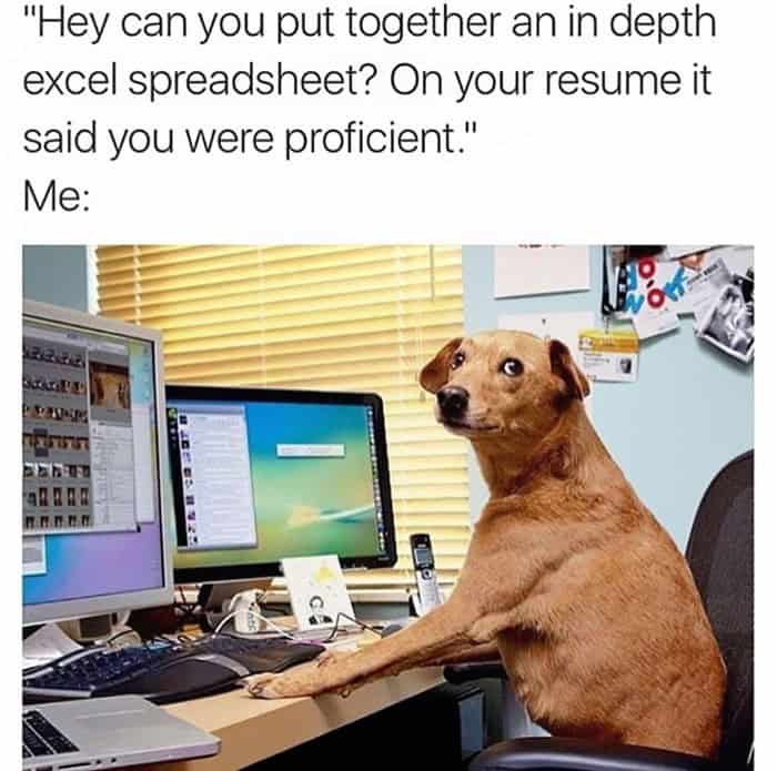 funny work meme showing a wide-eyed, terrified dog sitting at an office desk with two monitors. It illustrates the panic of being asked for an "in-depth Excel spreadsheet" after lying about being "proficient" on a resume.