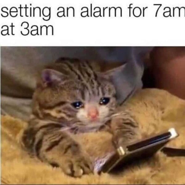 A heart-wrenching funny work meme of a tiny, teary-eyed kitten looking at a smartphone. The text describes the specific brand of existential dread felt when setting a 7:00 AM work alarm while it is currently 3:00 AM.