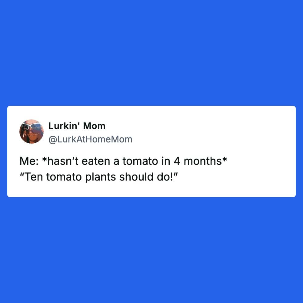 A short tweet about someone who hasn't eaten tomatoes recently deciding to plant ten tomato plants.