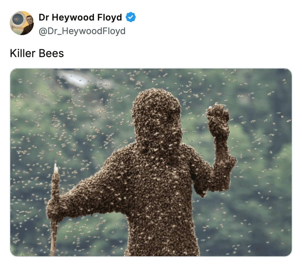 Tweet about killer bees fear paired with photo of person completely covered head to toe in swarm of bees