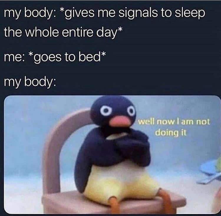 A relatable getting old meme featuring Pingu the penguin sitting cross-armed and angry. The text describes the betrayal of a messed-up sleep cycle: "my body: *gives me signals to sleep the whole entire day* / me: *goes to bed* / my body: well now I am not doing it."
