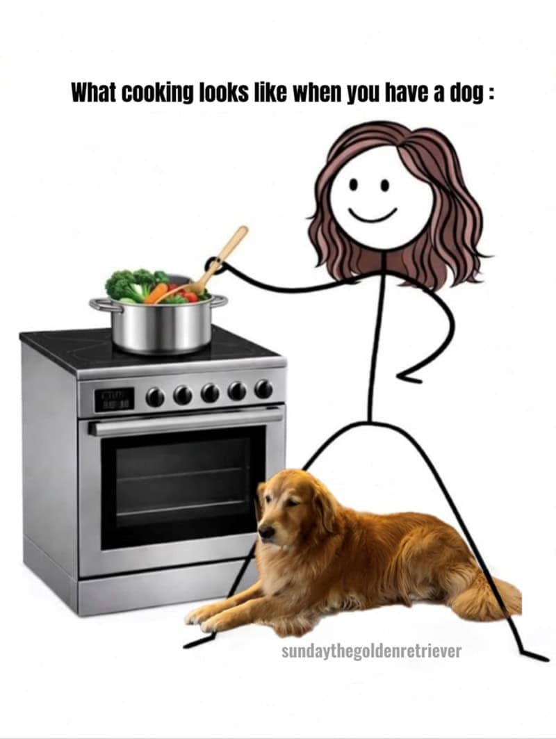 A stick figure woman cooking at a stove with a dog lying directly underfoot.