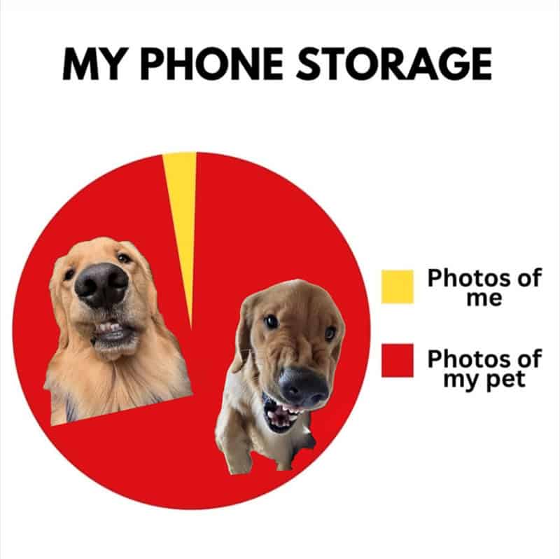 A pie chart showing phone storage dominated by pet photos vs. personal photos.