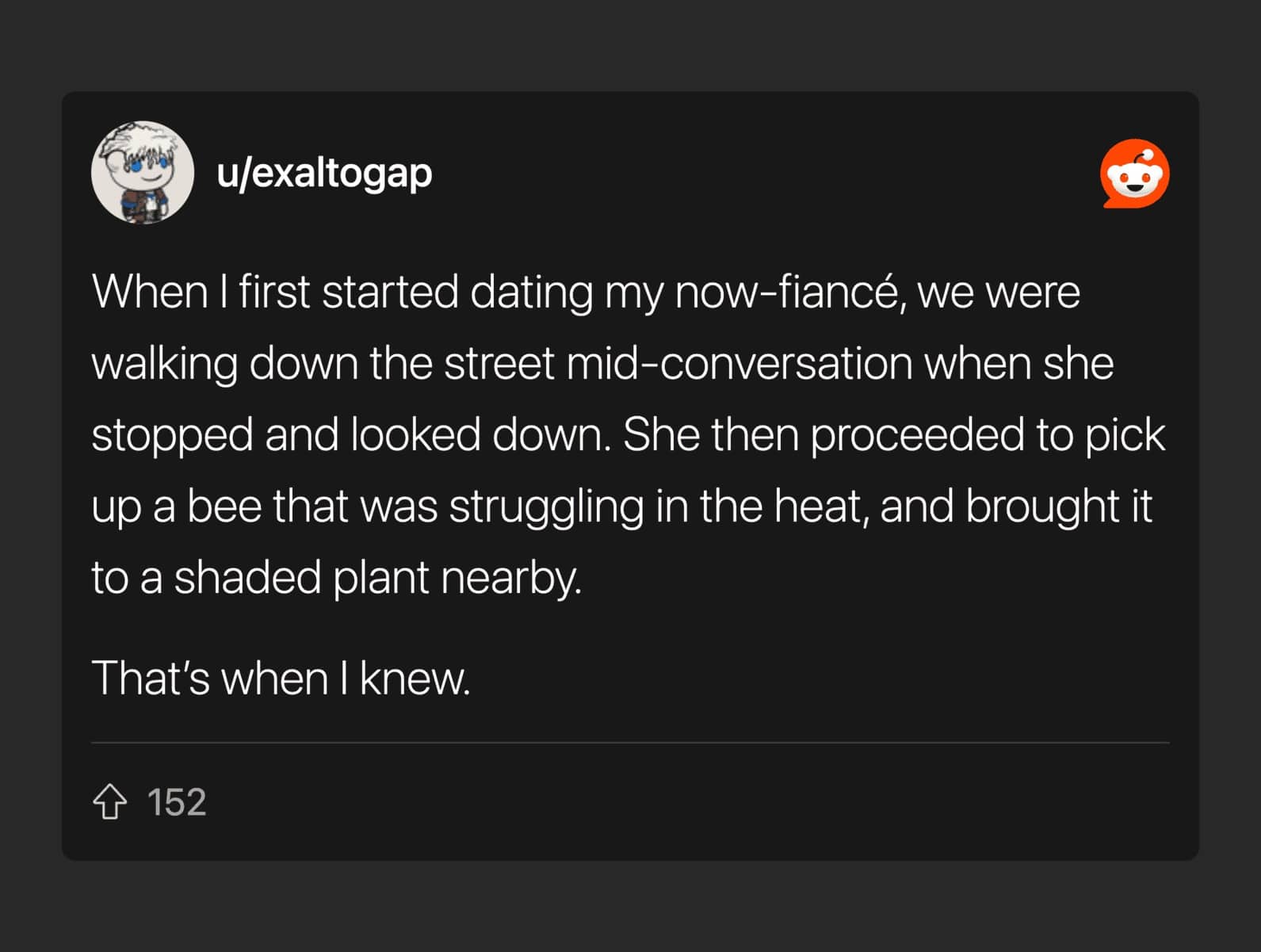 Green flags for women Reddit post about a fiancée gently rescuing a struggling bee on a hot day.