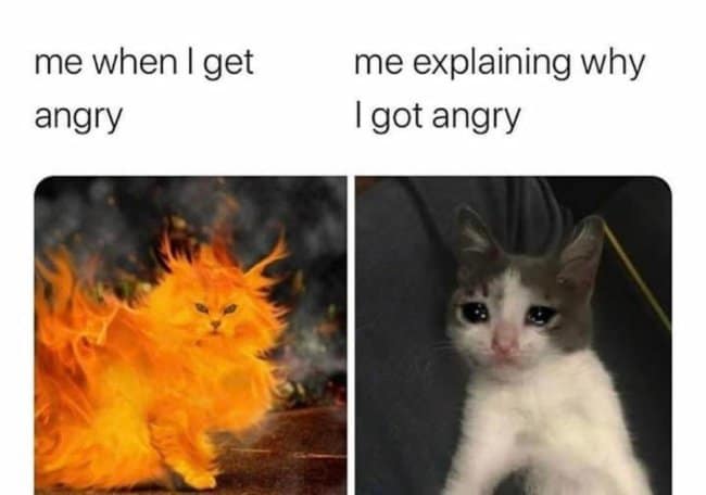 A two-panel grumpy meme comparing a cat engulfed in flames labeled "me when I get angry" to a small, tearful kitten labeled "me explaining why I got angry." It highlights the disconnect between raw rage and subsequent emotional logic.