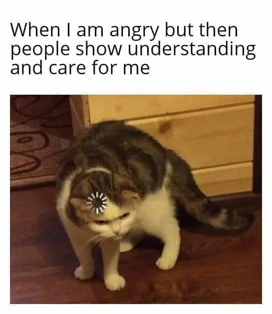 A hilarious grumpy meme showing a scowling cat with a digital "loading" icon superimposed on its forehead. The text describes the system error that occurs when you're prepared to stay mad but people suddenly show you genuine care and understanding.