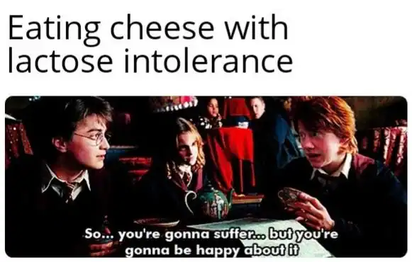 relatable Harry Potter meme using a scene of the golden trio at dinner. Ron is looking stressed as the caption compares him to someone "Eating cheese with lactose intolerance," paired with the prophetic quote: "So... you're gonna suffer... but you're gonna be happy about it."