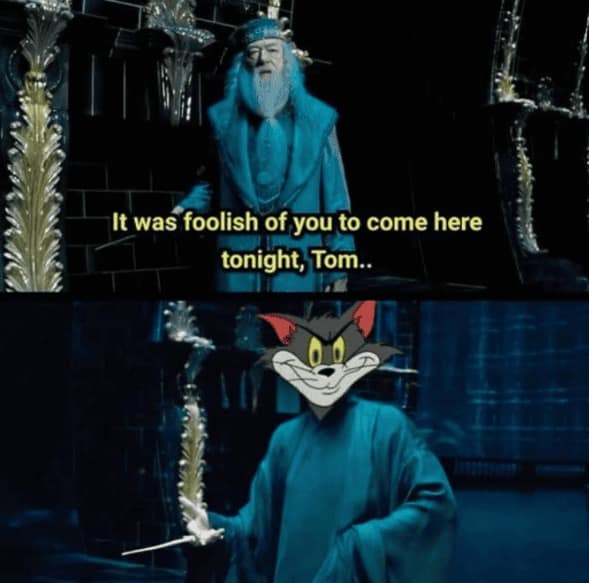 A literalist Harry Potter meme featuring Dumbledore in the Ministry of Magic. He says, "It was foolish of you to come here tonight, Tom...", but instead of Voldemort, the frame reveals a smug Tom the cat from Tom and Jerry wearing wizard robes.