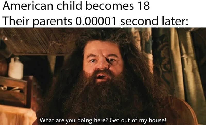 Harry Potter meme using Hagrid’s shocked expression. It compares his hospitality to American parenting styles with the caption: "American child becomes 18. Their parents 0.00001 second later: What are you doing here? Get out of my house!"