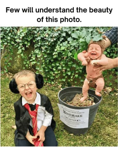A viral Harry Potter meme photo of a real-life toddler cosplay. One child is dressed as a young wizard with earmuffs, while a crying baby is placed in a dirt-filled pot dressed as a screaming Mandrake root. The text reads: "Few will understand the beauty of this photo."