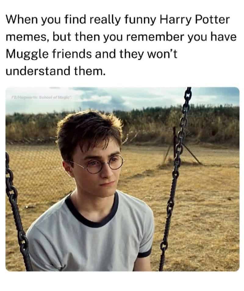 A somber Harry Potter meme showing a young Harry sitting alone on a swing set, capturing the specific isolation of finding a top-tier wizarding meme but remembering your friends are all Muggles who won’t understand it.