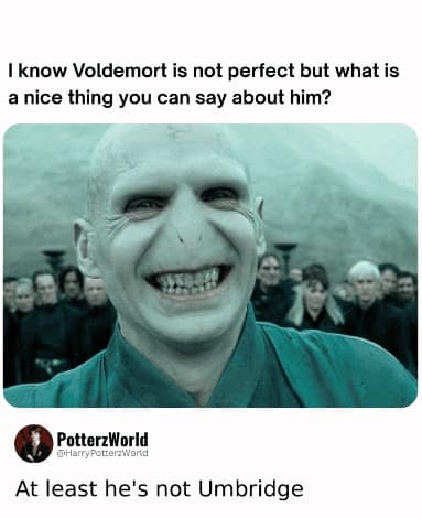 A Harry Potter meme featuring a rare photo of Lord Voldemort laughing. The caption asks for one nice thing that can be said about him, providing the ultimate consensus: "At least he's not Umbridge."