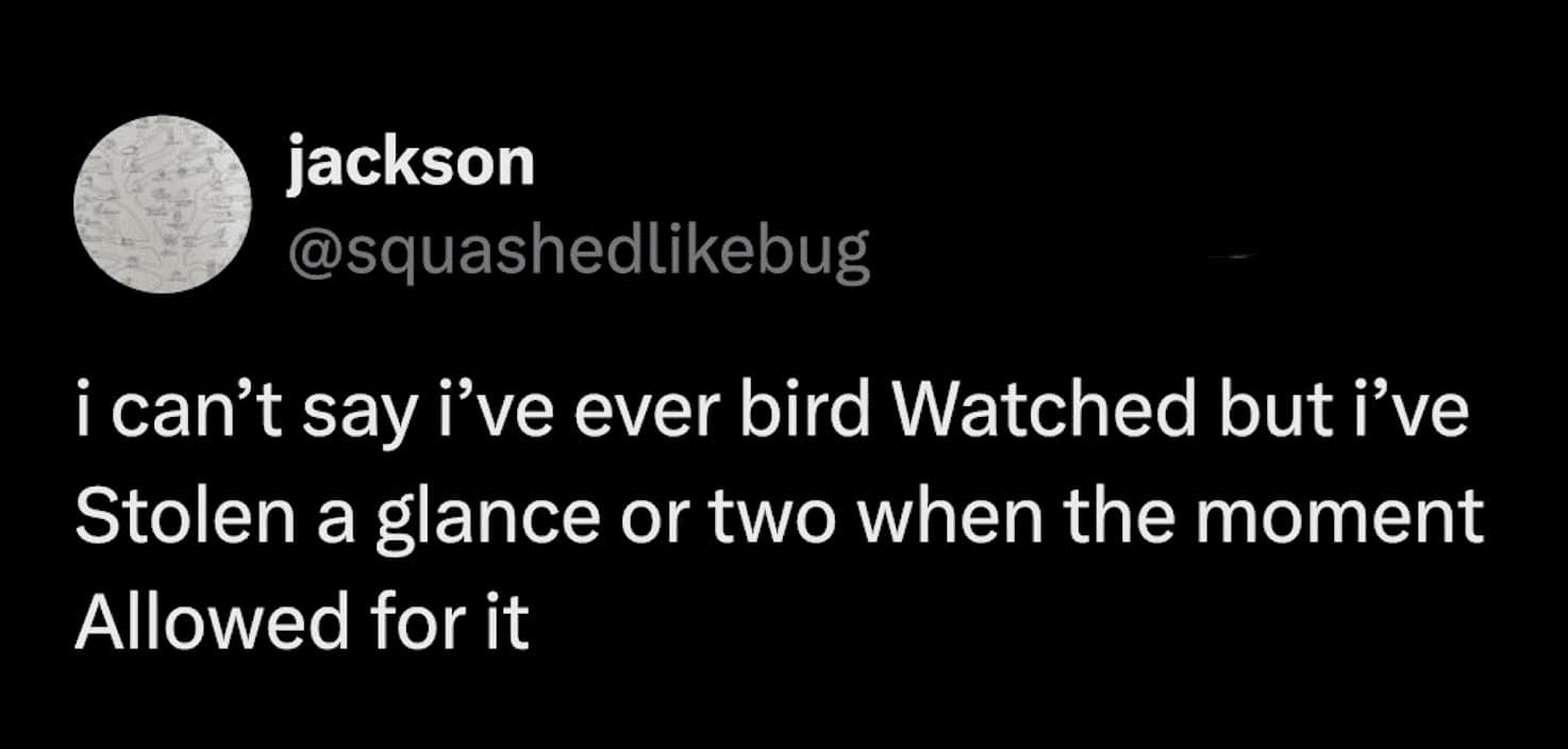 A hilarious hobby meme tweet from jackson about "stealth" birdwatching. He admits he’s never officially participated in the hobby, but he has "stolen a glance or two" at a bird when the moment allowed for it.