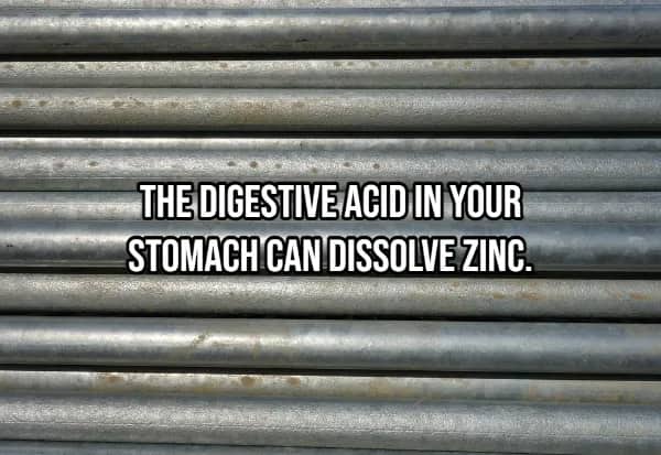 Rows of zinc metal pipes showing stomach digestive acid is strong enough to dissolve zinc
