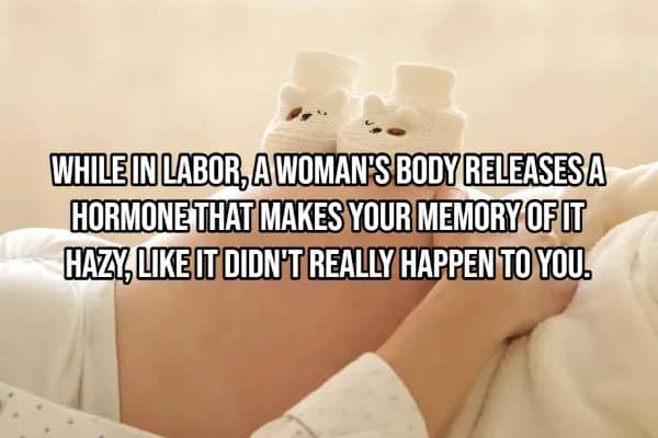 Pregnant woman with baby booties showing labor releases hormone causing hazy memory of childbirth pain