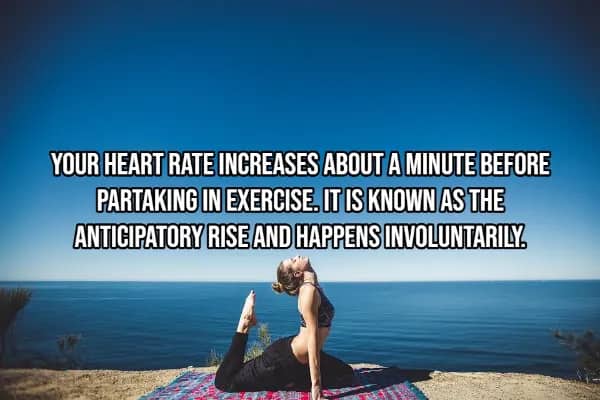 Woman doing yoga by the ocean showing heart rate rises involuntarily one minute before exercise begins