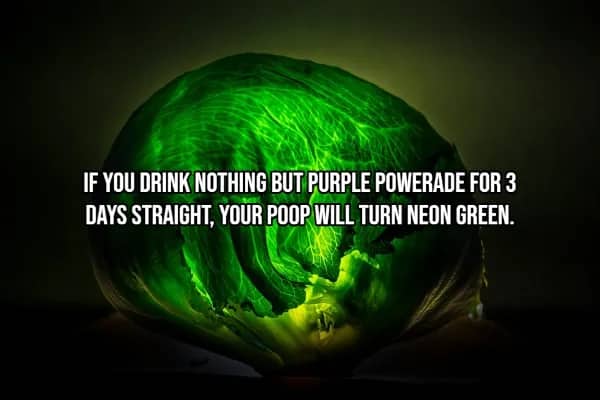 Glowing green cabbage head highlighting purple Powerade neon green poop body fact