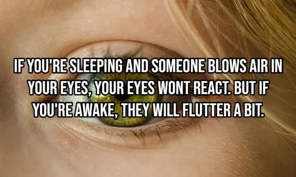 Close-up of green human eye illustrating eyes do not react to air when sleeping