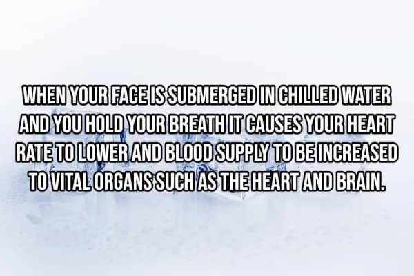 Icy blue water splash illustrating submerging face in cold water lowers heart rate and redirects blood to vital organs
