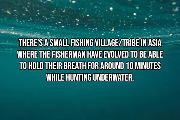 Underwater bubbles scene referencing Asian fishing tribe evolved to hold breath ten minutes underwater