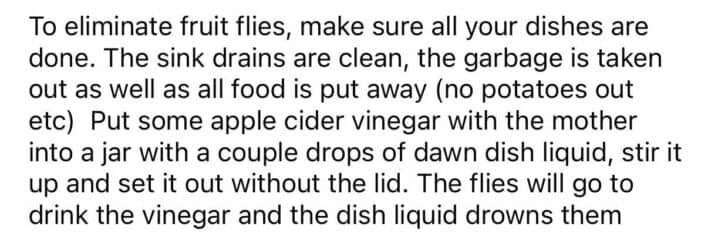 Apple cider vinegar and dish soap trap eliminates fruit flies effectively at home