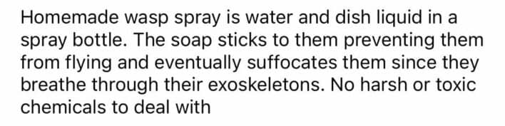 Homemade wasp spray made from water and dish soap suffocates wasps without toxic chemicals