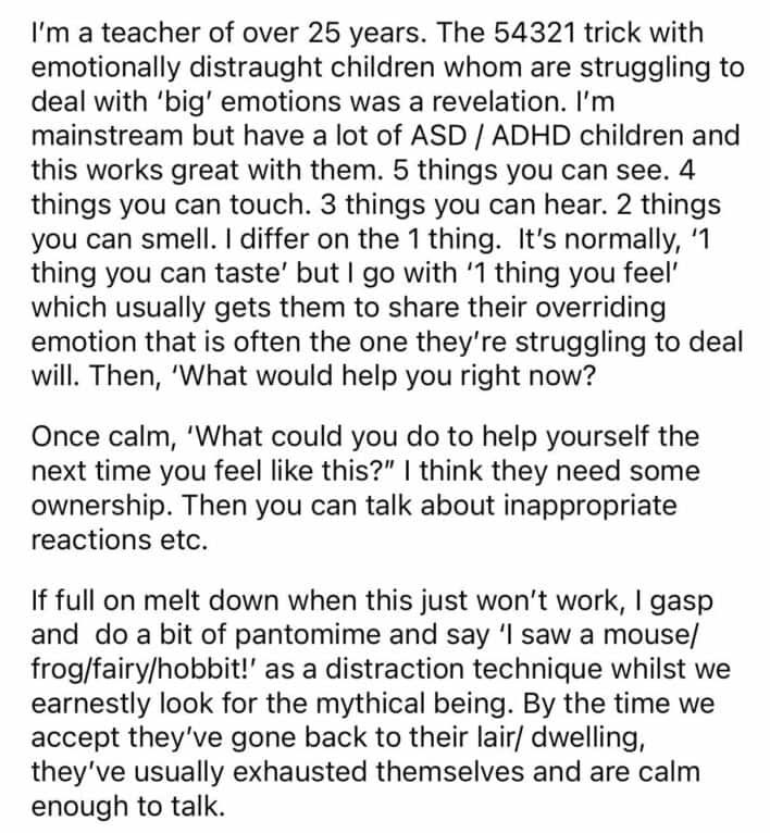 Veteran teacher shares 54321 grounding technique to calm children during emotional meltdowns