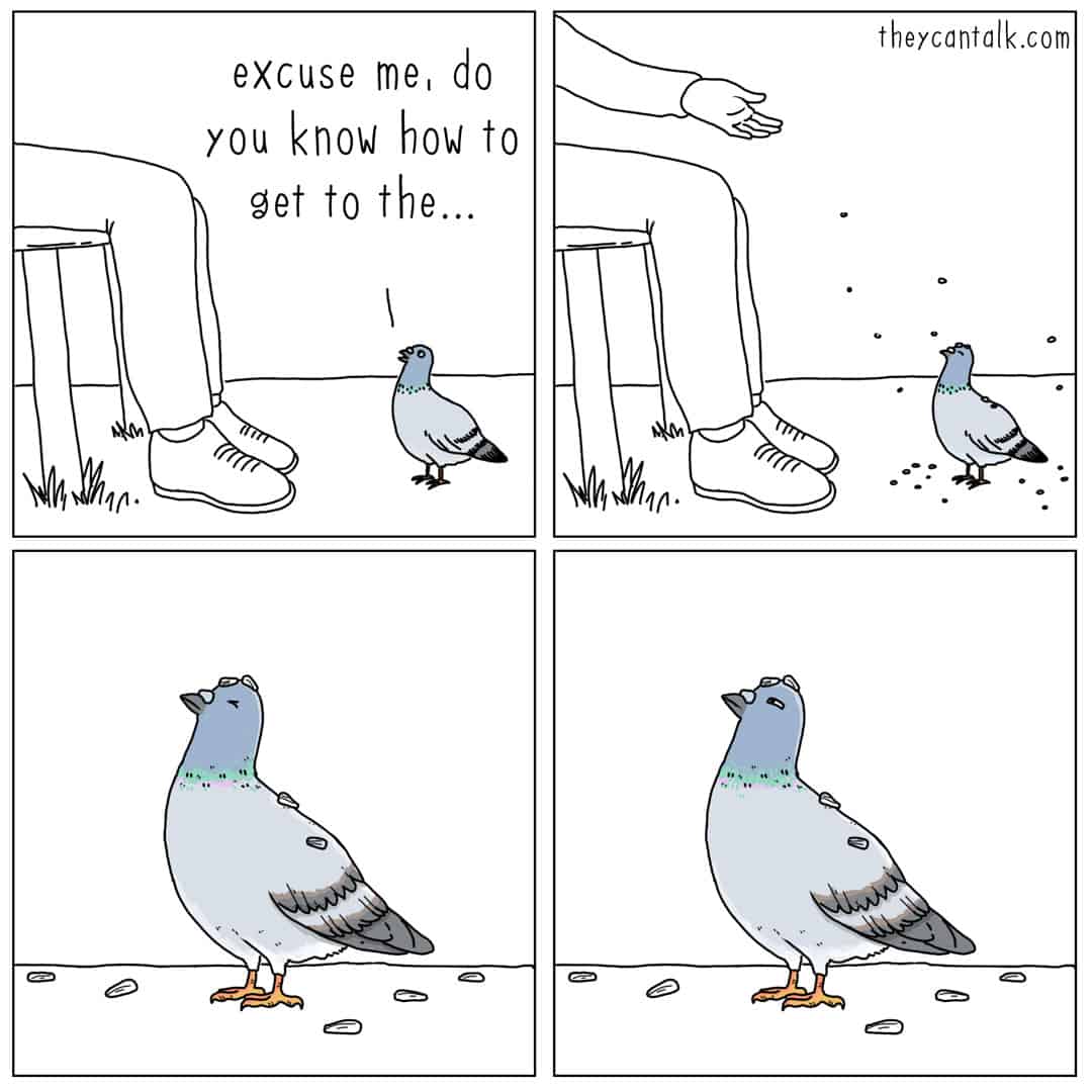 A four-panel they can talk comic featuring a pigeon attempting to ask a human for directions. Before the bird can finish saying "do you know how to get to the...", the human throws a handful of seeds on the ground. The final panels show the pigeon staring at the food, completely derailed, in a style typical of a liz climo comic.