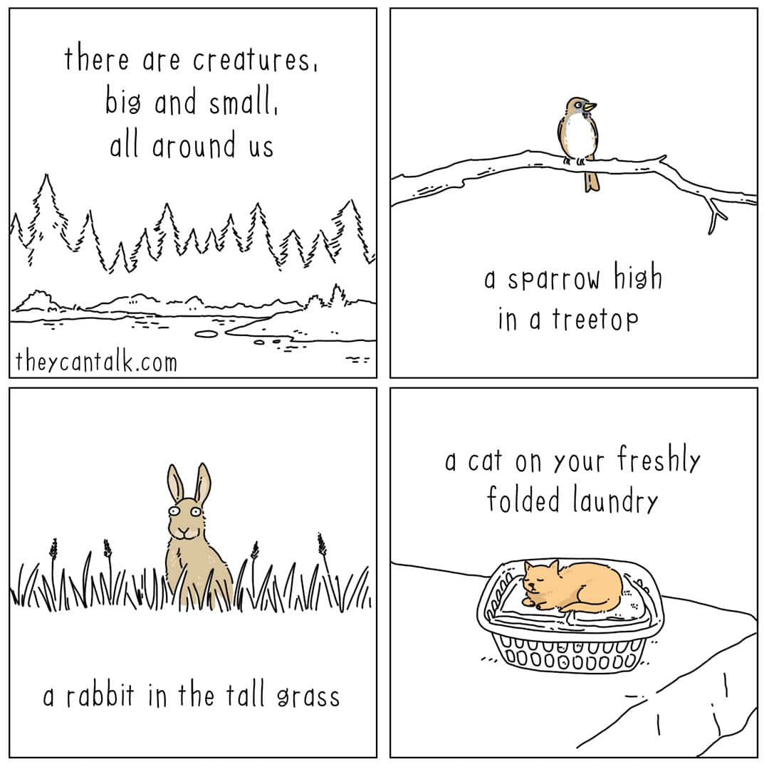 A four-panel they can talk comic that highlights nature vs. domestic life. It shows a sparrow in a treetop, a rabbit in tall grass, and ends with the punchline of a "creature" closer to home: a cat curled up on a basket of freshly folded laundry.
