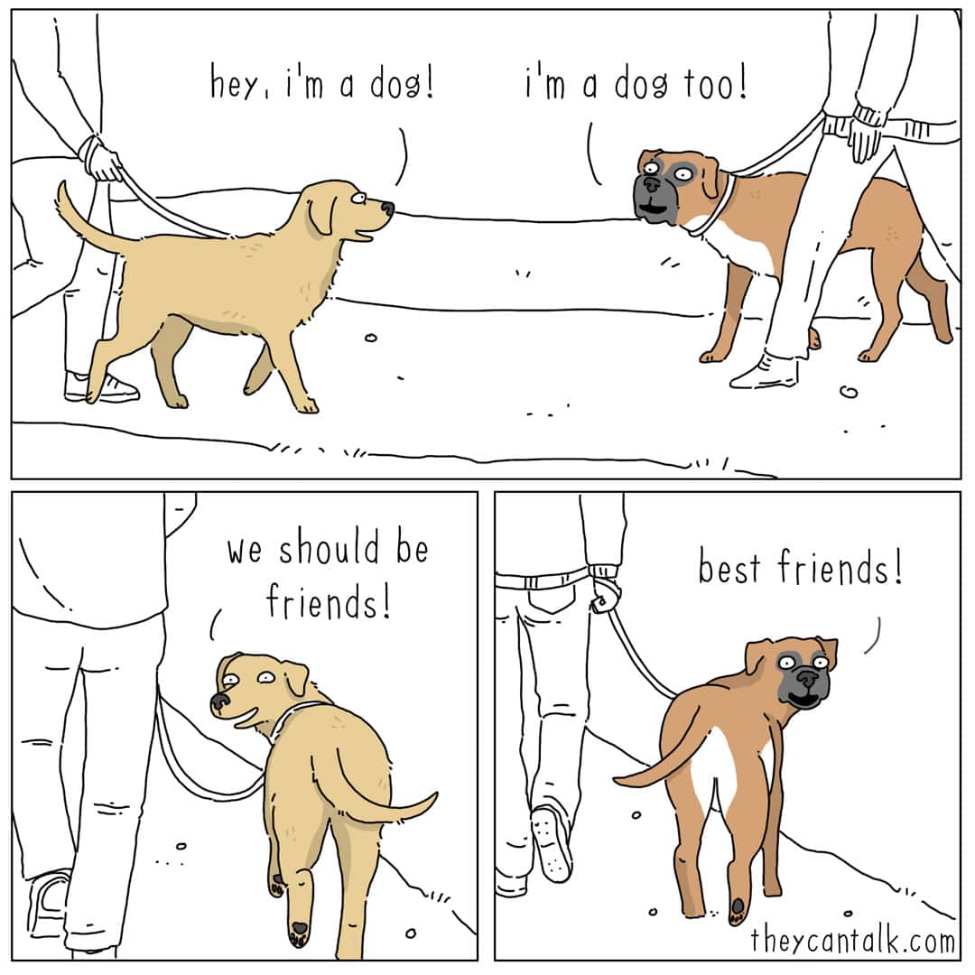 A three-panel liz climo comic style piece featuring a golden lab and a boxer passing each other on leashes. Their internal dialogue is incredibly pure, moving from "I'm a dog!" to "We should be best friends!" in the span of a few seconds.