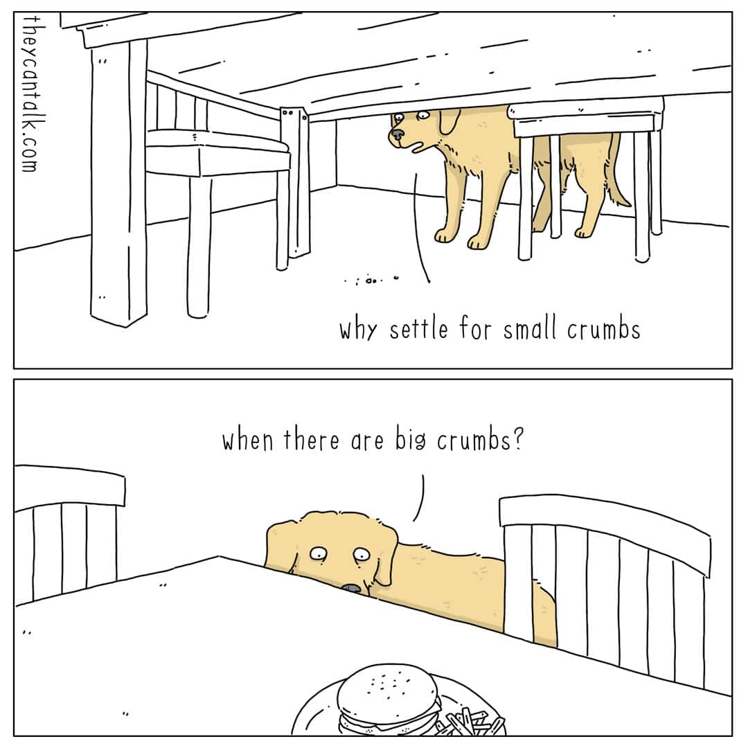 A two-panel they can talk comic from the perspective of a hungry golden retriever. In the first panel, he sees crumbs under a chair; in the second, he gazes up at a full burger on the table, thinking, "why settle for small crumbs when there are big crumbs?"