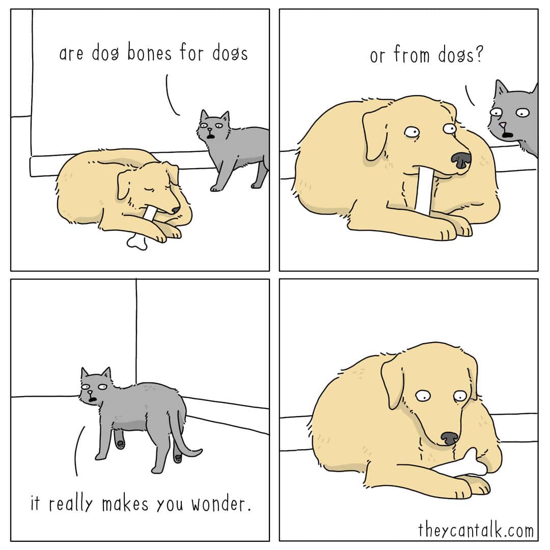 A darkly funny four-panel liz climo comic. A cat asks a dog chewing on a bone, "are dog bones for dogs or from dogs?" The cat walks away leaving the dog staring into space with a look of existential horror.