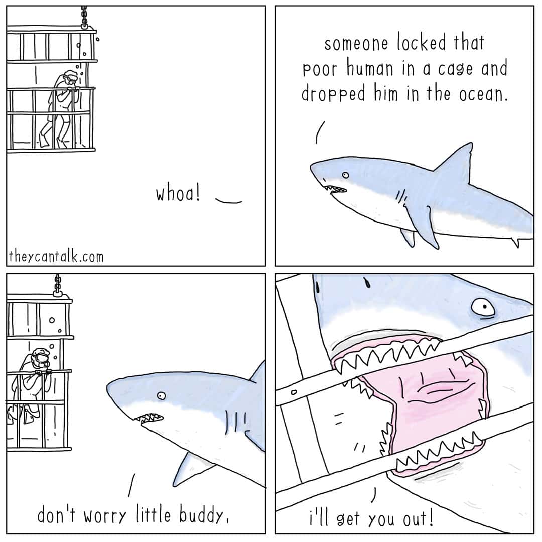 An ironic four-panel they can talk comic where a shark spots a diver in a protective cage. Misunderstanding the situation, the shark thinks the "poor human" has been trapped and begins biting the bars to "rescue" him.