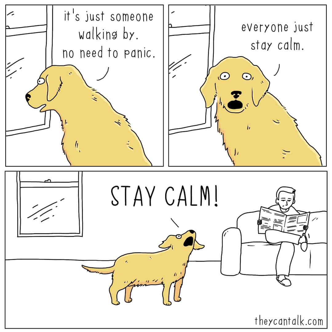 A three-panel liz climo comic depicting the "internal monologue" of a dog at a window. He tells himself to stay calm as someone walks by, but immediately ends up screaming "STAY CALM!" at his owner, capturing the chaotic energy of a protective pet.