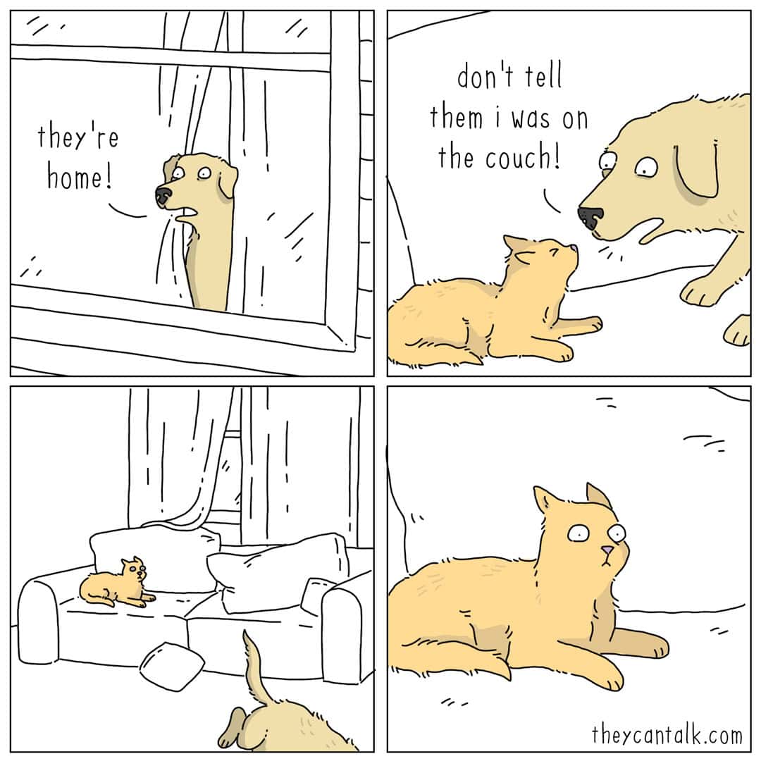 A four-panel they can talk comic about pet secrets. A dog sees the owners' car and frantically tells the cat, "don't tell them I was on the couch!" before jumping off, only for the cat to continue lounging in the dog's spot.