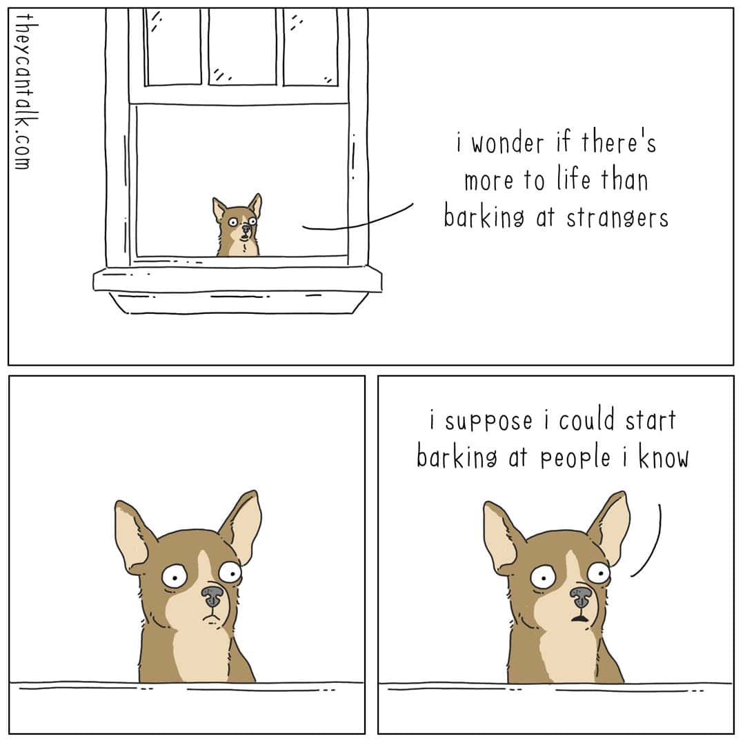 three-panel liz climo comic featuring a pensive chihuahua looking out a window. He wonders if there is more to life than barking at strangers, before concluding, "I suppose I could start barking at people I know."