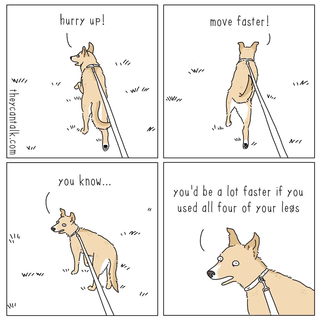 A four-panel they can talk comic from the perspective of a dog walking its human on a leash. The dog shouts, "hurry up!" and "move faster!" before stopping to offer a condescending tip: "you'd be a lot faster if you used all four of your legs." This lighthearted animal banter is a staple of a liz climo comic style.