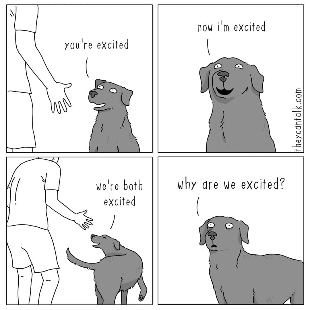 A four-panel liz climo comic style piece about the emotional mirroring of pets. A dog becomes incredibly excited because his owner is happy, only to realize in the final panel that he has no idea why they are celebrating.