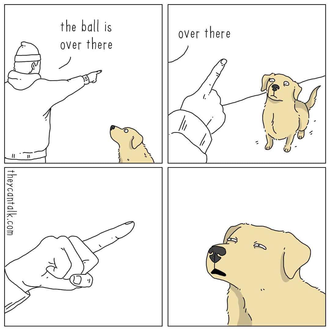 A relatable they can talk comic depicting the universal struggle of pointing things out to a pet. A human points into the distance saying, "the ball is over there," but the dog simply stares directly at the human's finger with a look of utter confusion, a classic theme in any liz climo comic.