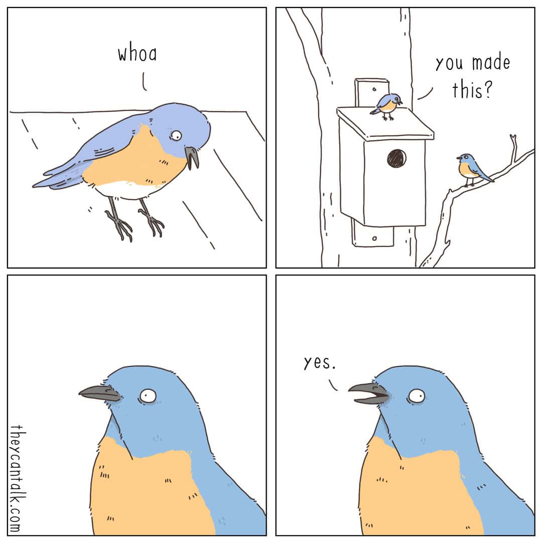 A four-panel they can talk comic featuring two bluebirds. One bird lands on top of a wooden birdhouse and asks a bird on a nearby branch, "you made this?" The second bird pauses for a moment before confidently lying, "yes." It captures the dry, observational humor found in a liz climo comic.